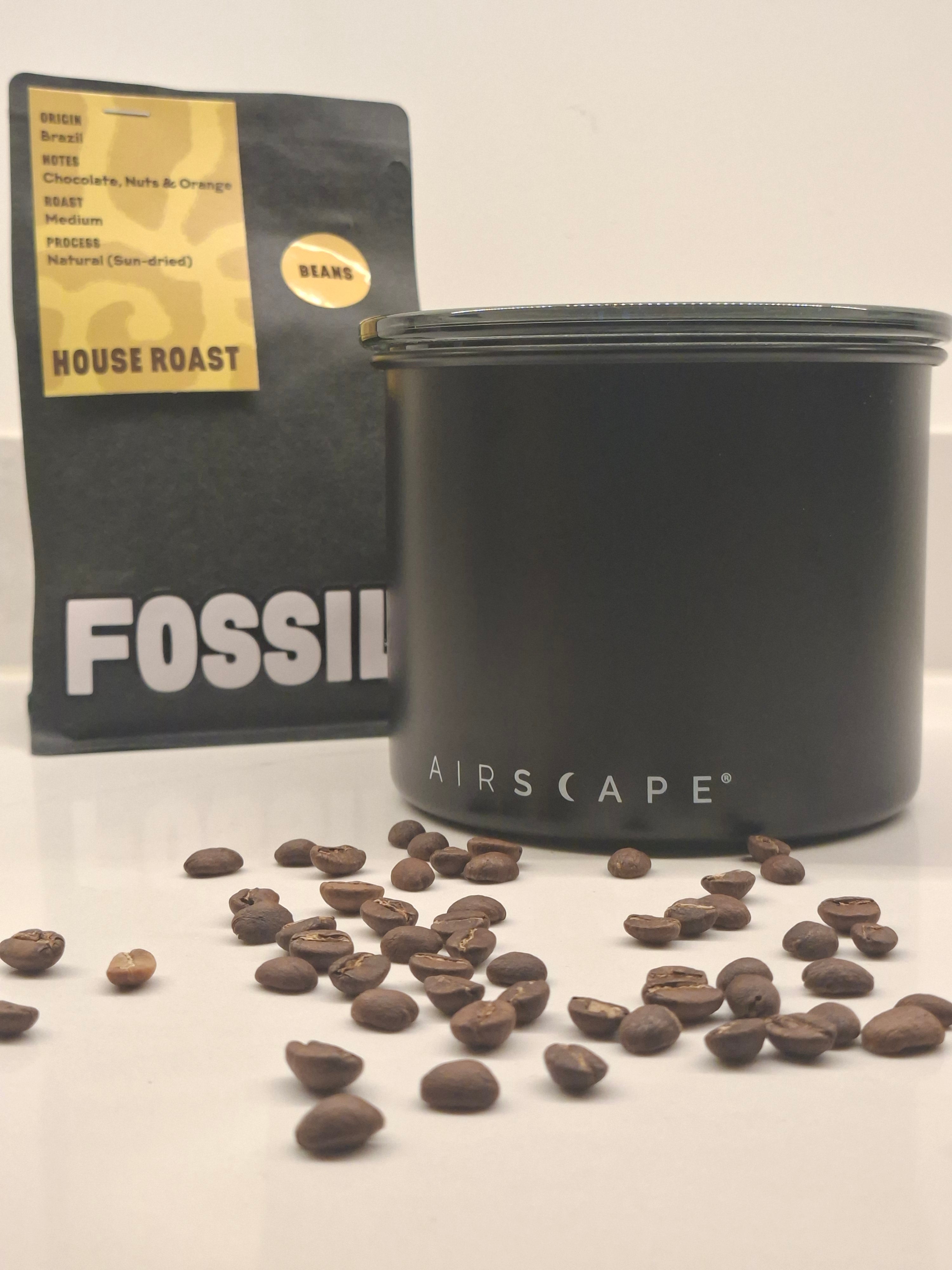 Fossil Fresh Bundle (Small)