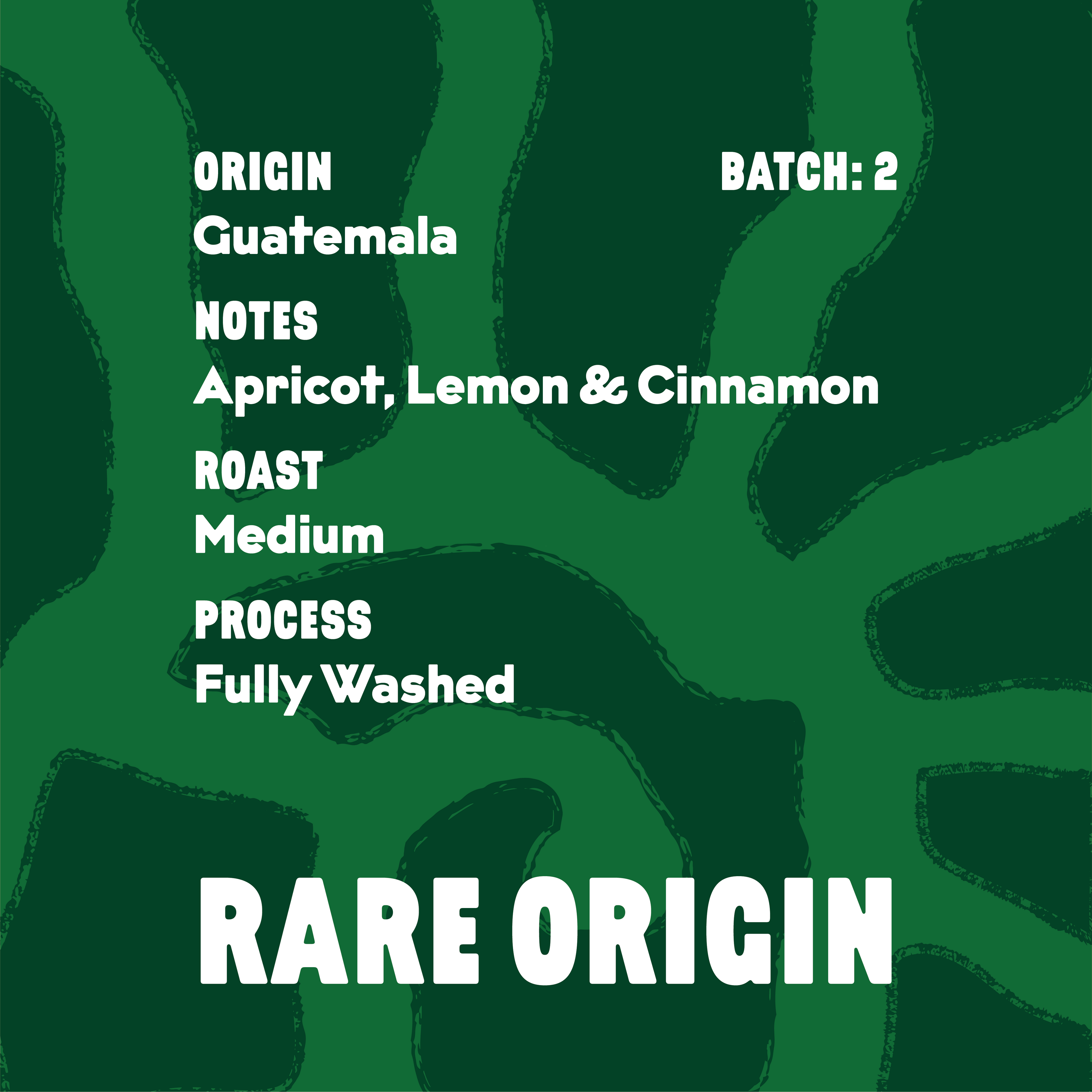 Rare Origin (Medium)